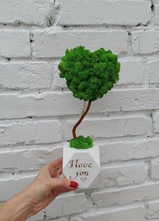 Подарунок до дня святого валентина, дерево (топіарій) у вигляді серця з моху, стабілізоване дерево2 фото