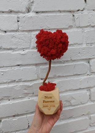 Подарунок до дня святого валентина, топіарій (дерево) у вигляді серця з моху, стабілізоване дерево2 фото