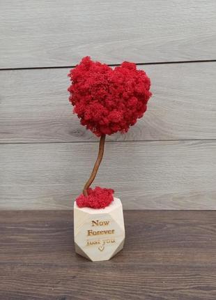 Подарунок до дня святого валентина, топіарій (дерево) у вигляді серця з моху, стабілізоване дерево4 фото