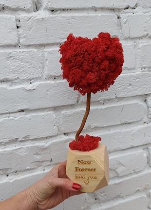 Подарок ко дню святого валентина, топиарий (дерево) в виде сердца из мха, стабилизировано дерево3 фото