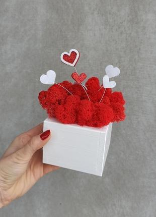 Подарок для нее - кашпо с красным мхом и сердечками2 фото