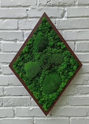 Картина з моху