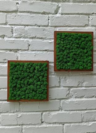 Квадратна картина з моху на стіну2 фото