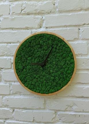 Круглий годинник з моху на стіну2 фото