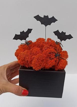 Декор до хеловіну хеллоуїну. чорне кашпо з помаранчевим мохом та кажанами