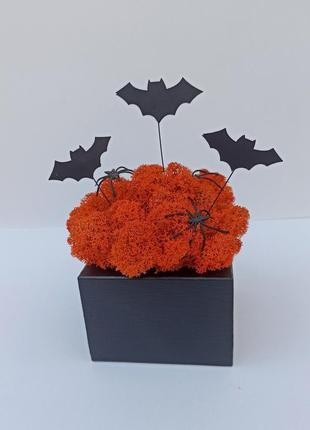 Декор до хеловіну хеллоуїну. чорне кашпо з оранжевим мохом та кажанами2 фото