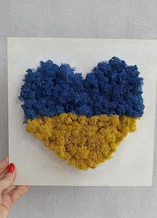 Патриотическая картина. сине-желтое сердце из мха.