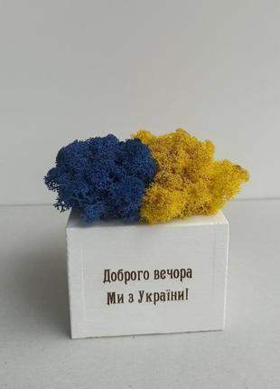 Кашпо з жовто блакитним мохом. патріотичний подарунок, патріотичний декор.2 фото