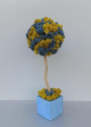 Стабилизированное дерево. желто-голубое дерево из мха. патриотический подарок6 фото
