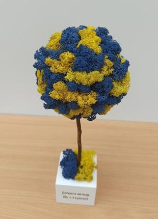 Желто-голубое дерево из мха. желто-голубой топиарий. патриотический подарок6 фото