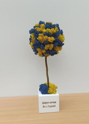 Желто-голубое дерево из мха. желто-голубой топиарий. патриотический подарок4 фото