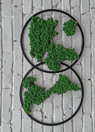 Карта світу з моху на стіну