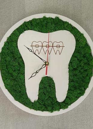 Настінний годинник в стоматологію з зубом та мохом