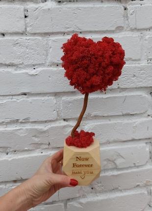 Романтический подарок женщине на день валентина, подарок на годовщину свадьбы