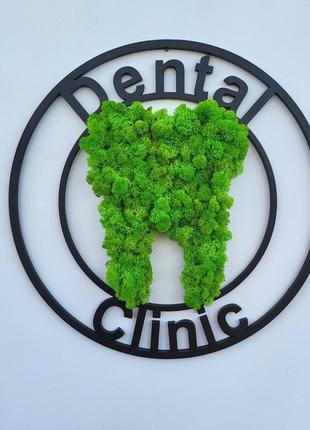 Логотип стоматологии (стоматолога) с зубом на стену. логотип из мха. подарок стоматологу2 фото
