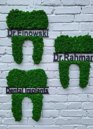 Зуб з моху на стіну. логотип (лого) стоматології, стоматолога 30-60 см7 фото