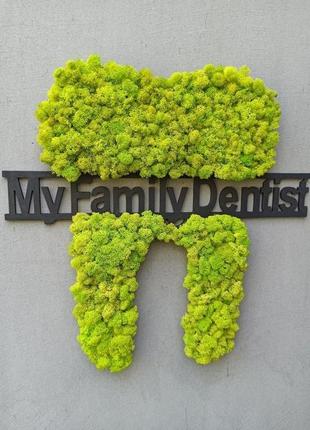 Зуб из мха на стену. логотип (лого) стоматологии, стоматолога 30-60 см9 фото