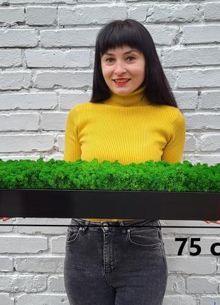 Длинное древесное прямоугольное кашпо с  мохом
