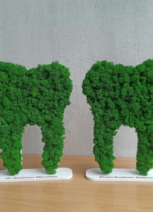 Декоративний зуб на підставці з мохом. декор в стоматологію.