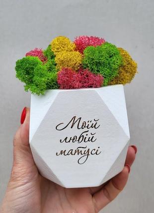 Подарунок мамі, матусі до дня матері. кашпо з мохом та гравінням