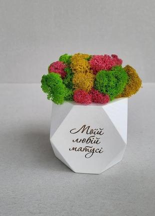 Подарунок мамі на день матері, на день народження,  на 8 березня кашпо