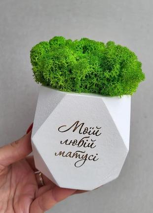 Кашпо с мохом и приветствием - подарок маме, мамочке в день матери