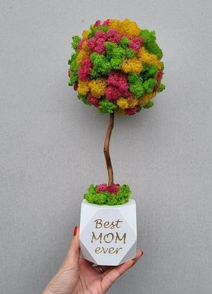 Топіарій (дерево) з моху - подарунок мамі, матусі на день матері, подарунок мамі на день народження6 фото