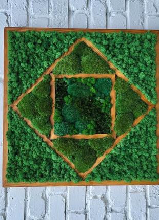 Картина зі стабілізованого моху квадратної форми в дерев'яній рамі 60*60 см9 фото