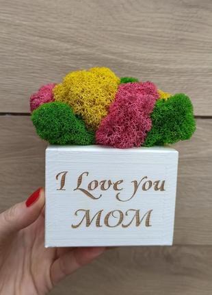 Кашпо з мохом - яскравий подарунок мамі на день матері, подарунок мамі на день народження1 фото