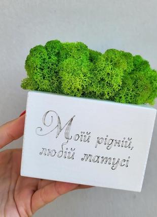 Кашпо з мохом - яскравий подарунок мамі на день матері, подарунок мамі на день народження2 фото
