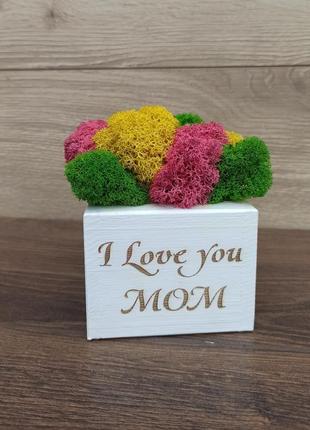 Кашпо з мохом - яскравий подарунок мамі на день матері, подарунок мамі на день народження7 фото