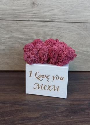 Кашпо з мохом - яскравий подарунок мамі на день матері, подарунок мамі на день народження4 фото