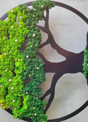 Панно дерево життя з моху від 40 см. подарунок на день народження, на новосілля6 фото