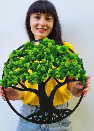 Кругле панно дерево життя на стіну з моху від 40 см з підсвіткою чи без