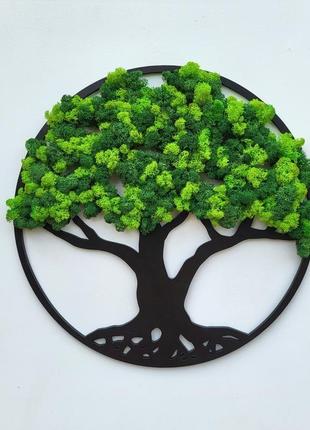 Кругле панно дерево життя на стіну з моху від 40 см з підсвіткою чи без