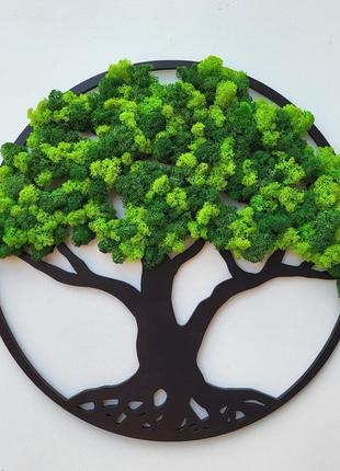 Кругле панно дерево життя на стіну з моху від 40 см з підсвіткою чи без