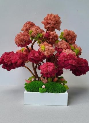 Розовая композиция из стабилизированных деревьев2 фото