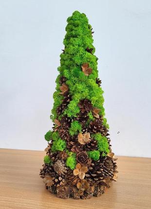 Ялинка з моху та шишок на стіл. подарунок на новий рік