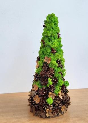 Ялинка з моху та шишок на стіл. подарунок на новий рік