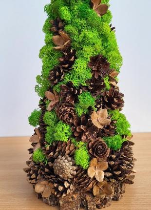 Ялинка з моху та шишок на стіл. подарунок на новий рік