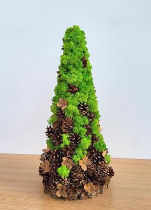 Ялинка з моху та шишок на стіл. подарунок на новий рік