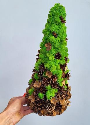 Ялинка з моху та шишок на стіл. подарунок на новий рік