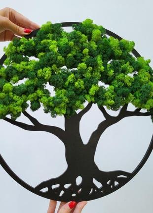 Кругла картина панно дерево життя з моху на стіну від 40 см з підсвіткою і без