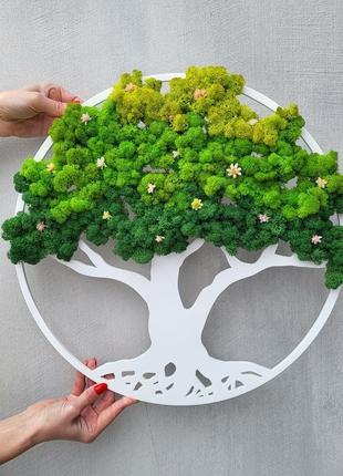 Кругла картина панно дерево життя з моху на стіну від 40 см з підсвіткою і без