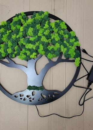 Кругла картина панно дерево життя з моху на стіну від 40 см з підсвіткою і без