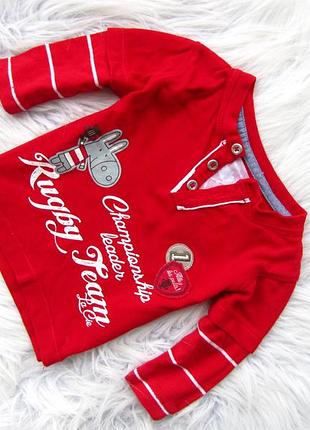 Кофта свитшот petits