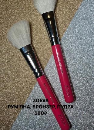 Пензлі для рум'ян, бронзера, пудри zoeva