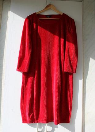 Яскраве плаття з фактурного велюру з люрексом