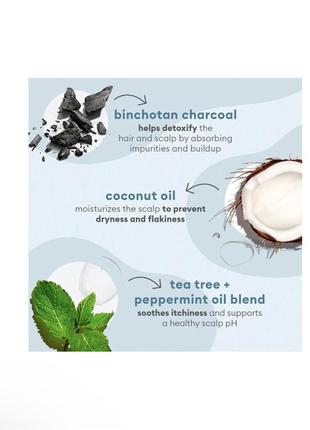 Шампунь-скраб briogeo scalp revival charcoal + coconut oil micro-exfoliating shampoo mini4 фото