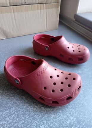 Крокси сабо босоніжки шльопанці crocs classic clog bordo